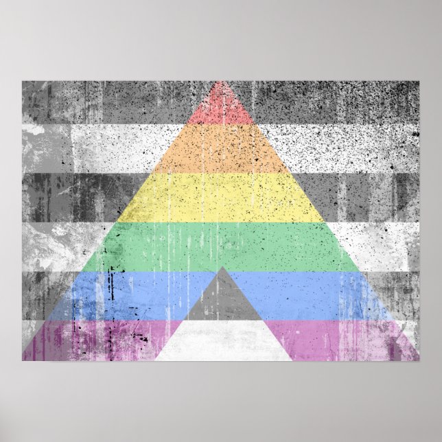 Póster ALLY FLAG DISTRESSED -.png (Frente)