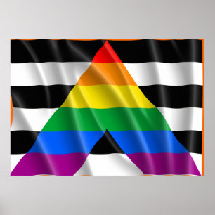Póster ALLY FLAG FLYING -.png