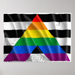 Póster ALLY FLAG FLYING -.png