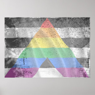 Póster ALLY FLAG FLYING -.png