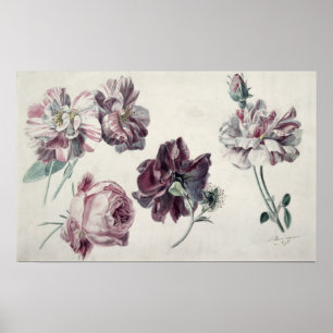 Póster Alma-Tadema   ROSAS