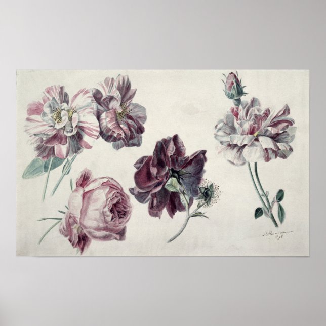 Póster Alma-Tadema | ROSAS (Frente)