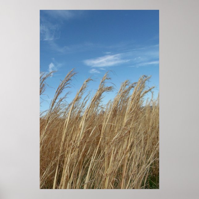 Póster Almohadilla (Frente)