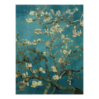 Almond Blossom