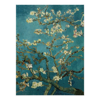 Póster Almond Blossom