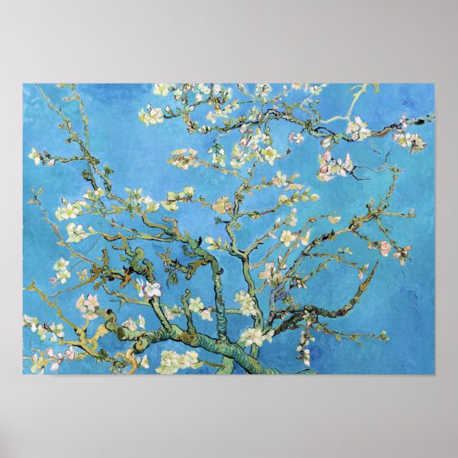 Póster Almond Blossom Vincent Van Gogh (Frente)