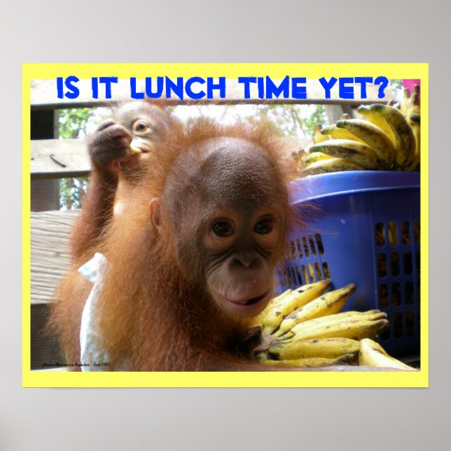 Póster Almuerzo para bebés de Orangutan (Frente)