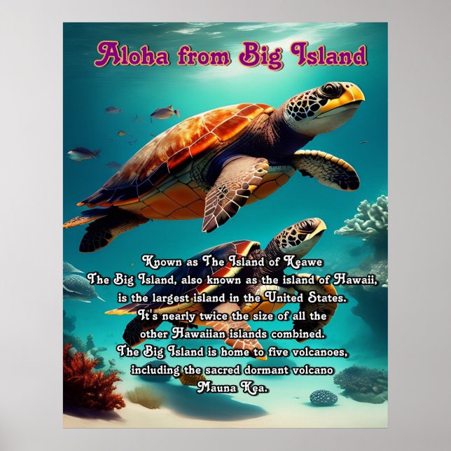Póster Aloha Big Island Hawaii (Frente)