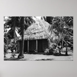 Póster Alojamiento de hierbas en la playa - Isla Hawaii