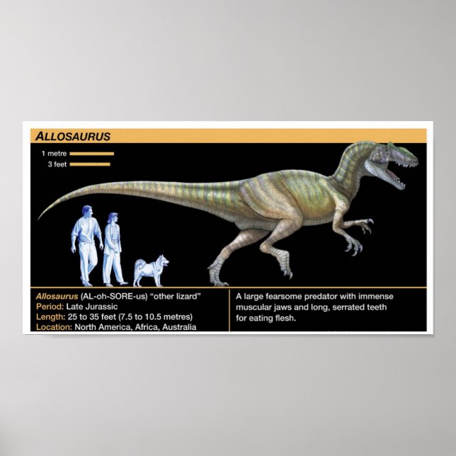 Póster Alosaurio - Biología Jurásico (Frente)