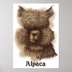 Póster Alpaca