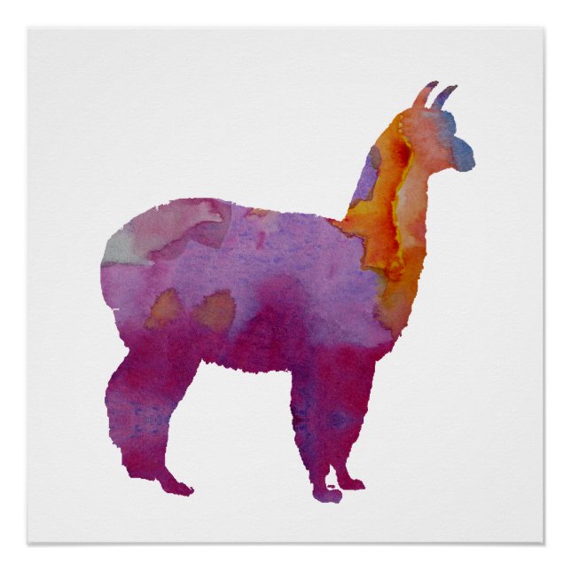 Póster Alpaca (Anverso)