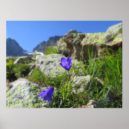 Póster Alpes franceses