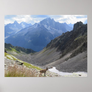 Póster Alpes franceses Chamonix Ibex