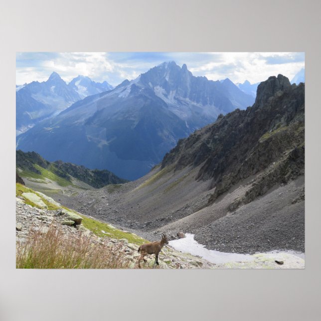 Póster Alpes franceses Chamonix Ibex (Frente)