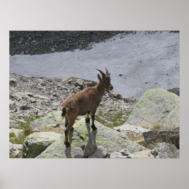 Póster Alpes franceses de Ibex Chamonix (Frente)