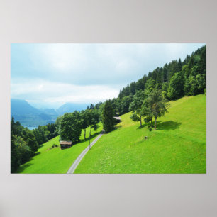 Póster Alpes suizos en verano