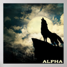 Alpha Wolf Howling en la Luna Completa