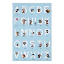 Poster Alphabet Animal