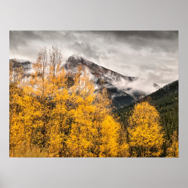Póster Alpine Loop | Silverton, Colorado (Frente)