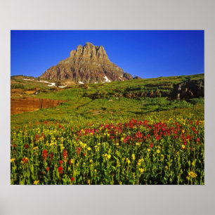 Póster Alpine wildflowers at Logan Pass in Glacier