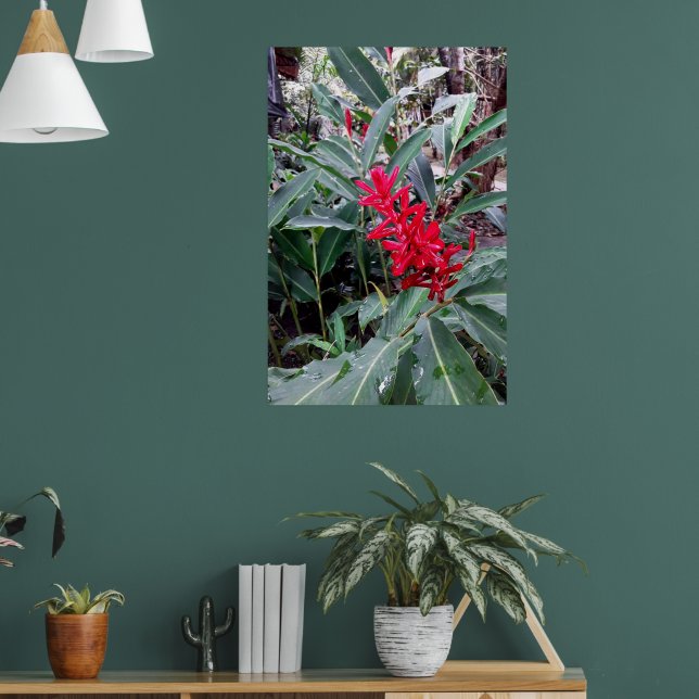 Póster Alpínia purpurata 1 (Salón 1)