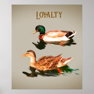 Póster Alquiler de pollos. Lealtad