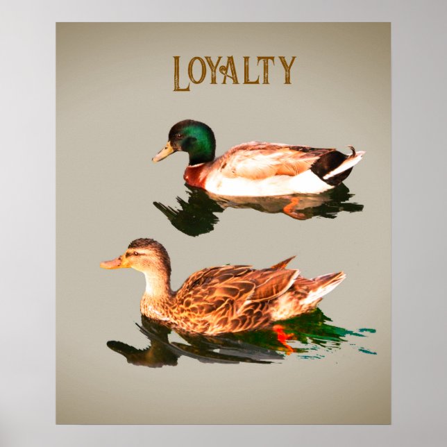 Póster Alquiler de pollos. Lealtad (Frente)