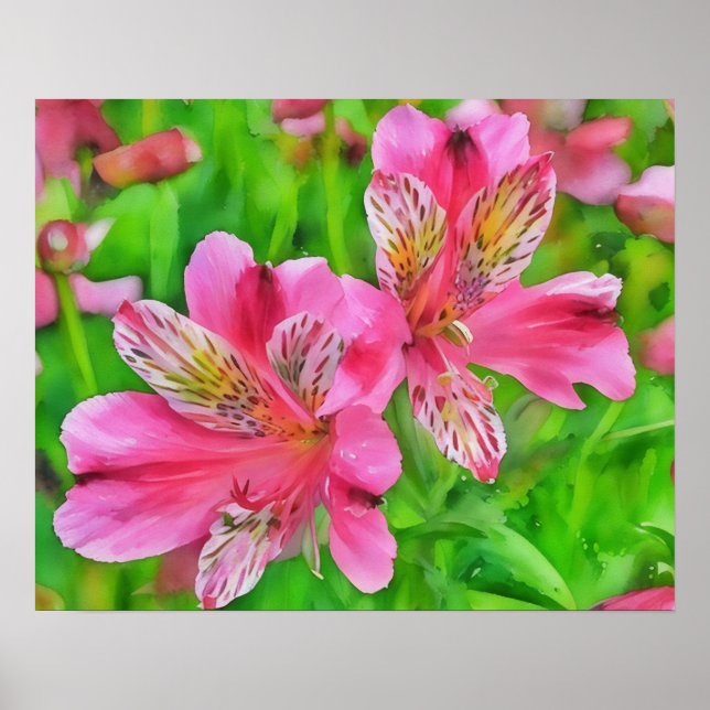 Póster Alstroemeria rosa Lily Flores Watercolor Style (Frente)