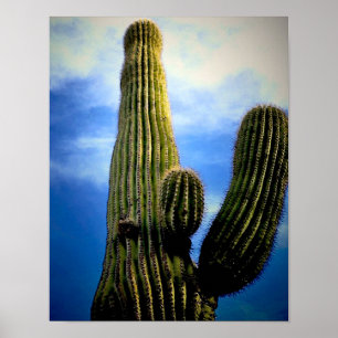 Póster Alta postal de Saguaro Cactus