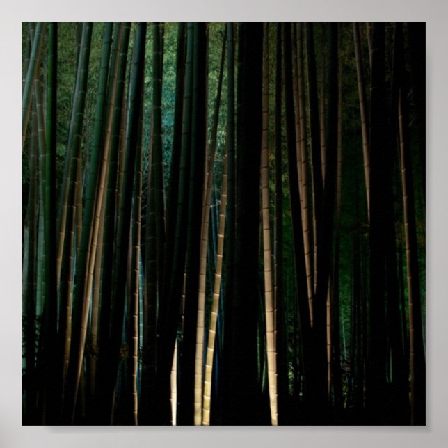 Póster Alto Bambú por la noche. (Frente)