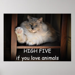 Póster ALTO CINCO si amas a los animales,