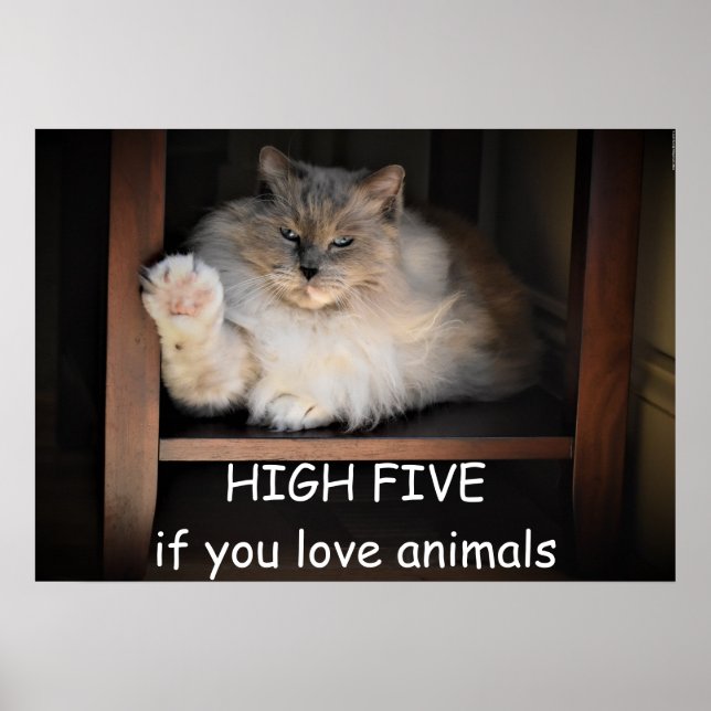 Póster ALTO CINCO si amas a los animales, (Frente)