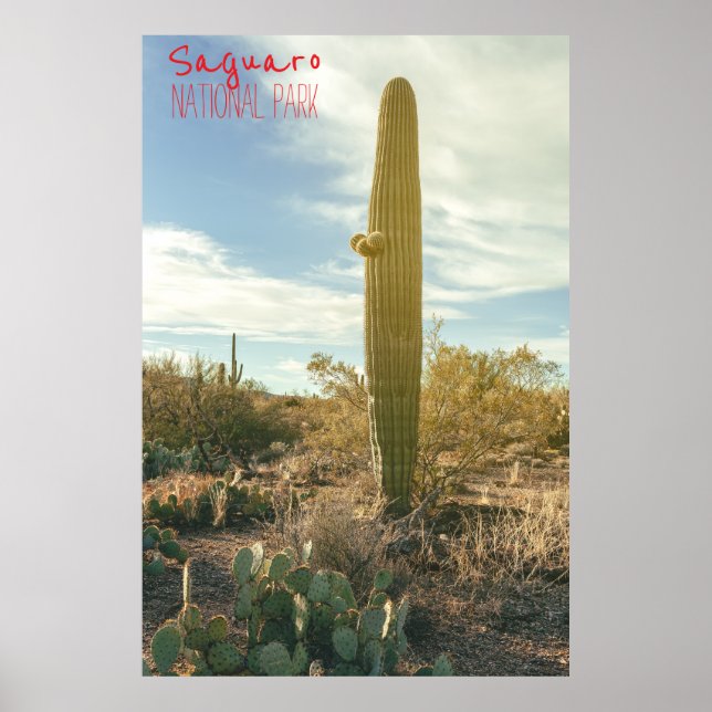 Póster Alto de pie (Frente)