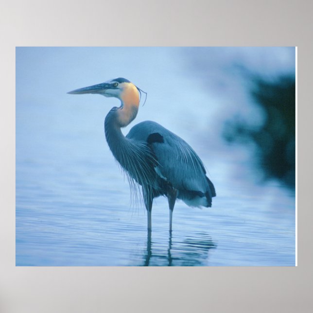 Póster Alto de pie (Frente)