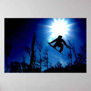 Póster Alto vuelo