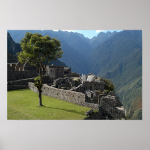 Póster Alturas ruinosas