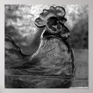 Póster Alumnos de época en el cultivo de la plaza blanca