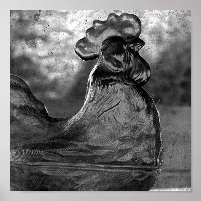 Póster Alumnos de época en el cultivo de la plaza blanca  (Frente)