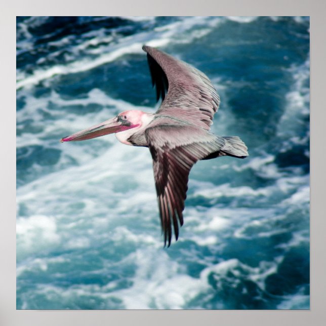 Póster Alza (Frente)