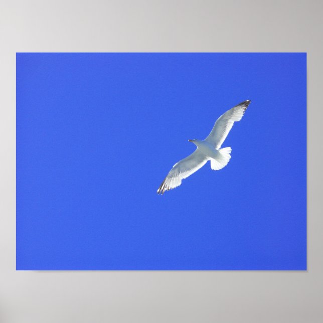 Póster Alza (Frente)