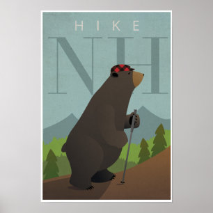 Póster Alza New Hampshire
