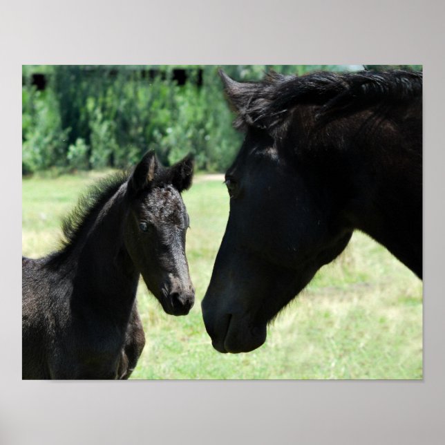 Póster Ama a los caballos a la madre y al bebé (Frente)