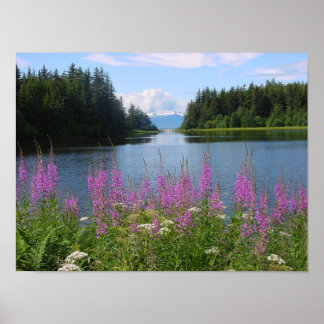 Póster Amalgafireweed