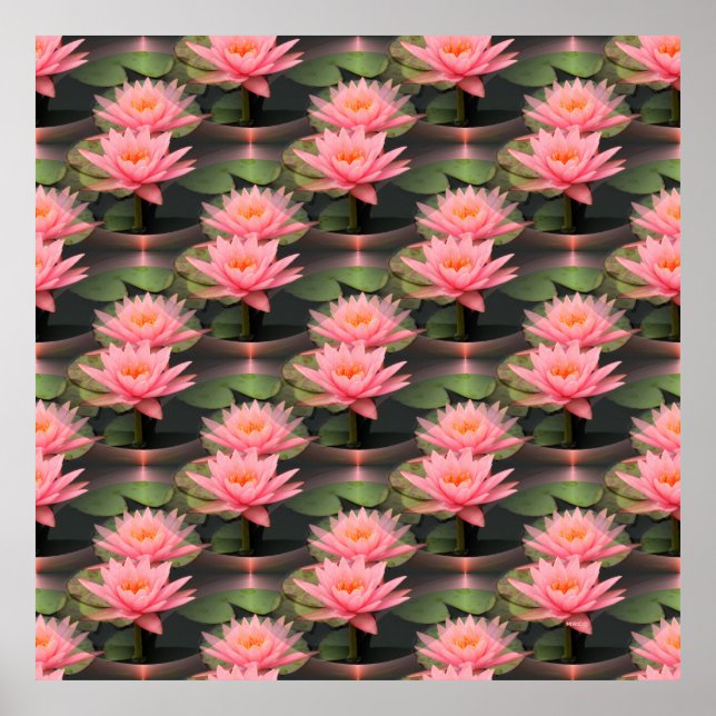 Póster Amando a Lilies...... (Frente)