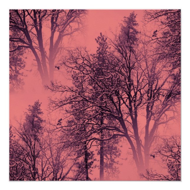 Póster Amanecer. (Anverso)