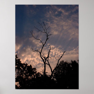 Póster Amanecer 18