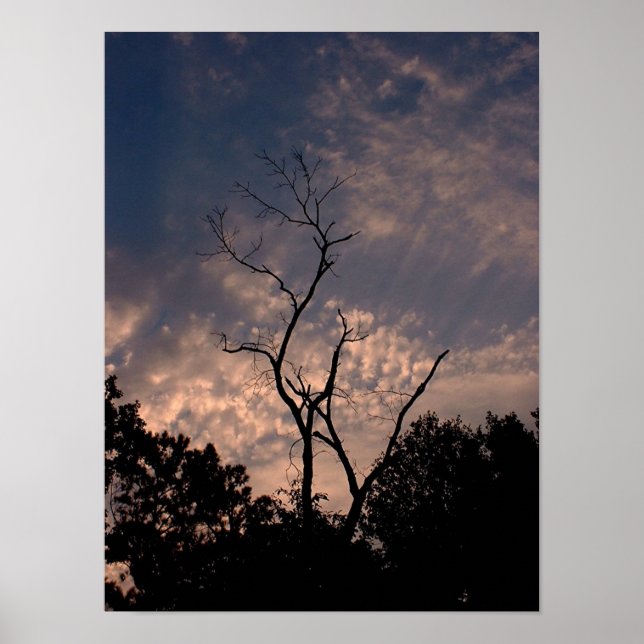 Póster Amanecer 18 (Frente)