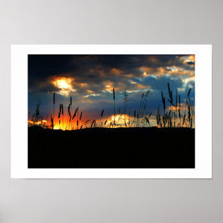 Póster Amanecer de CatTail