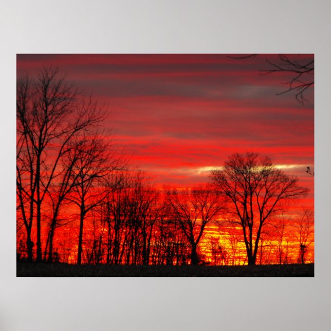 Póster Amanecer de enero (Frente)